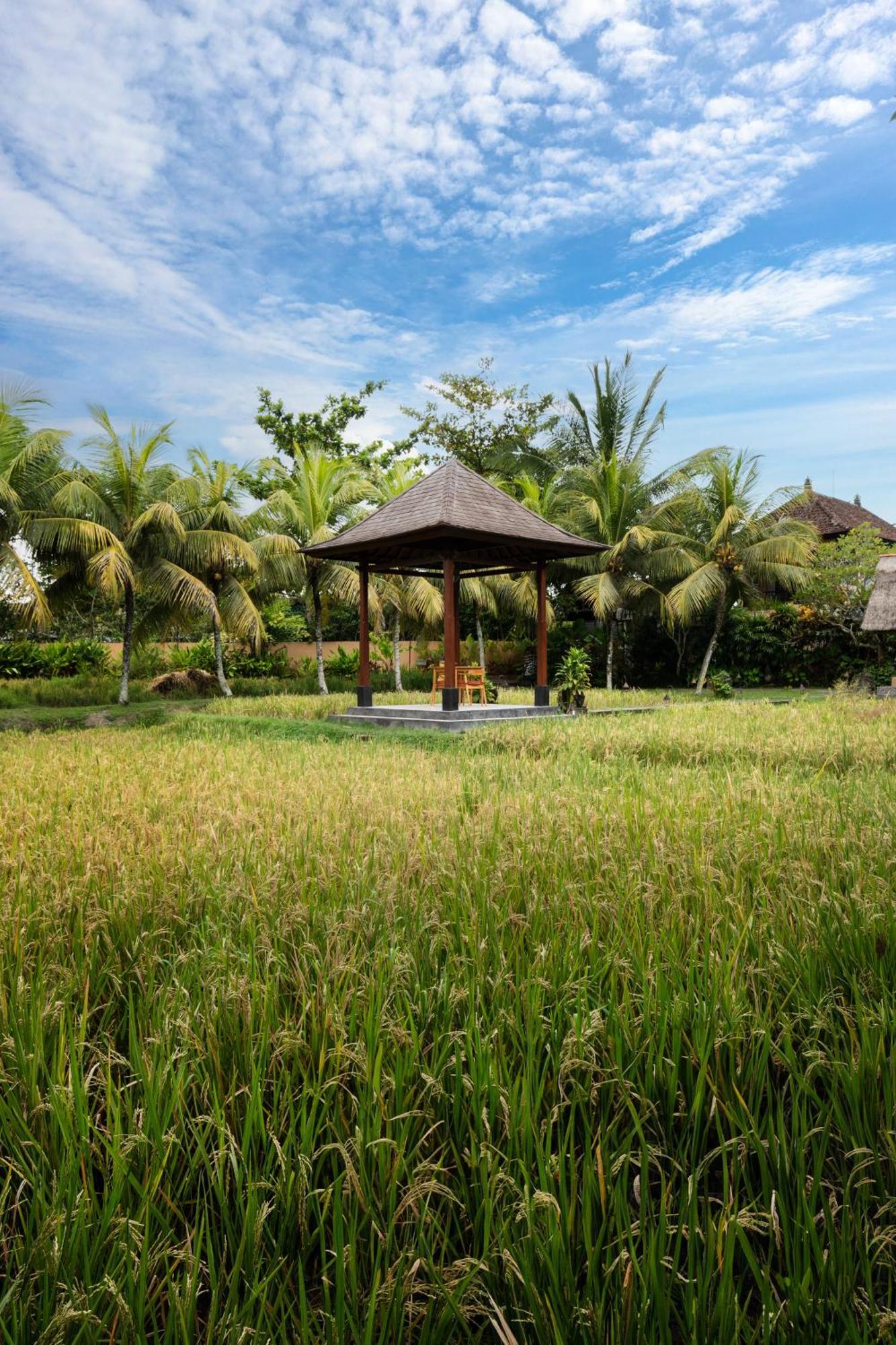 Svarga Bebek Villas Ubud Extérieur photo